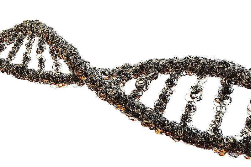 Reżim Łukaszenki chce wprowadzić rejestrację DNA Białorusinów